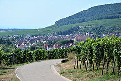 vinmarker
